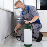 Choosing Plumbing Contractors is Always Better in Several Ways 