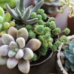 Why Ceramic Tiles are Preferred in Commercial Spaces