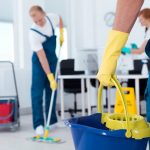 Mystery Droppings -Why Are You Spotting Them in Your House?