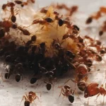 5 Ways to Make Your Room Look Larger