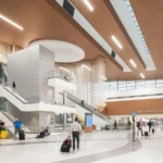 What Really Happens Behind the Scenes of Termite Treatment