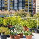 The Liquid Engineers: Mastering Modern Injection Technology