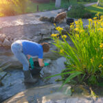 Cleaning, comfort, and charm—carpet care