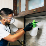 Finding the Professional Pool Installation in Kentucky